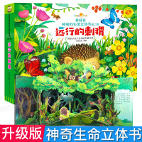 好好玩神奇生命立体书第二辑 远行的刺猬 儿童3d立体书翻翻书洞洞书籍0-2-3周岁幼儿绘本5-6岁读物启蒙早教书宝