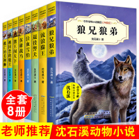 沈石溪动物小说全集系列 全套8册 正版三四五六年级小学生初中课外读书籍狼兄狼弟10-12-15岁少儿童阅读物图书狼王梦书