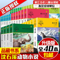 [40册]沈石溪动物小说系列全集全套40册品藏书系正版 沈石溪的动物小说 狼王梦/*飞渡小学生四五六年级课外书必读456