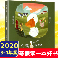 白鸭阿呷 2020寒假读一本好书]梁晓声童话 经典儿童话文学故事书籍9-12岁三四五六年级小学生课外阅读书籍