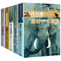 沈石溪动物小说全集正版全套5册