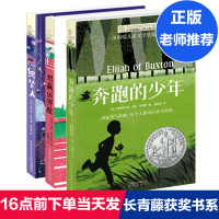 长青藤国际大奖小说奔跑的少年织梦人想赢的男孩3册