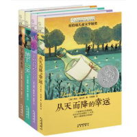 长青藤国际大奖小说书系7-10全四册 宇宙的一本书 木头娃娃的旅行从天而降的幸运