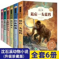 沈石溪动物小说全集 正版全套6册