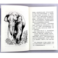 沈石溪动物小说系列全集 动物小说大王沈石溪主编 狼王梦正版全套