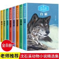 沈石溪动物小说全集8册