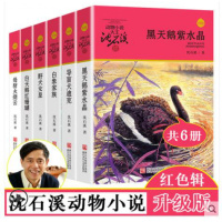 动物小说大王沈石溪典藏书系全套6册 白象家族 导盲犬迪克 白天鹅* 黑天鹅紫水晶