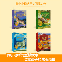 沈石溪动物小说全集感悟生命书系 全套共4册 狼国女王 红豺 五彩龙鸟 雪域豹影