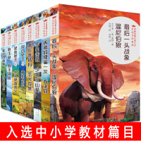 中西动物小说大王金品共读系列狼王梦狼王洛波 混血豺王上下册 再被狐狸一次春田狐全8册