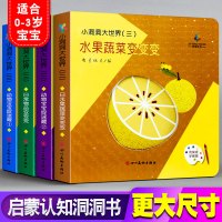 全4册小洞洞大世界第三套0-3岁亲子游戏纸板书宝宝的本认知书籍