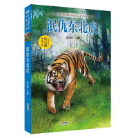 沈石溪 《后一只狍子+泯仇东北虎+野化猎豹+鹰飞天地间》 9-12-13-15岁儿童读物课外