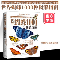 世界蝴蝶1000种图解指南 阿德里安?霍斯金斯 中国蝴蝶生活史图鉴书籍 蝴蝶摄影图蝴蝶家族生态图解 精美蝴蝶图片生命科学