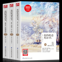 全3册彩图 我的枕边英语书看天看雪看时间的背影英语阅读精选励志美文短篇小说