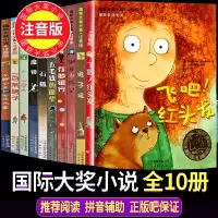 全套儿童文学国际大奖小说注音版10册新蕾出版社一百条裙子书籍兔子坡石狐魔镜桥下一家人飞吧红头发一年级课外书必读班主任推荐