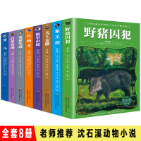 全套8册残狼灰满/梅里山鹰/红奶羊/象王泪正版沈石溪动物小说全集的书系列单本