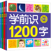 学前识1200字 阳光宝贝早教书全套4册 1-3-6岁幼小衔接教育幼儿园大班教材启蒙认字书 宝宝阅读与识字大王卡片 学龄