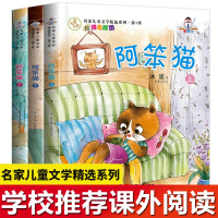 阿笨猫故事书全传全集3册正版 冰波童话系列书系 儿童文学名家经典书系6-8-10-12岁三四五年级课外书必读非注音小学生