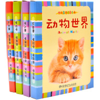 阳光宝贝启蒙全卡 全4册 0-6岁宝宝识图识字卡片小孩撕不烂早教书