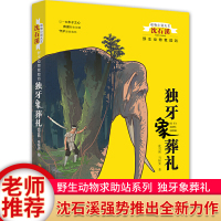 独牙象葬礼沈石溪动物小说大王 野生动物救助站沈石溪的书全系列单本强势推出全新力作儿童文学 8-12岁小学生课外阅读书籍正