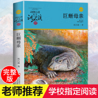 *母亲沈石溪正版书动物小说品藏书系升级版儿童文学三四五六年级儿童文学浙江少年儿童出版社小学生课外阅读书籍6-12岁青少年