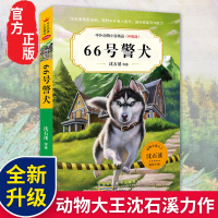 正版 66号警犬 中外动物小说精品升级版 动物小说大王沈石溪等著 9-12岁儿童文学读物三四五六年级小学生课外阅读书安徽