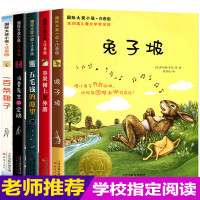 国际大奖小说注音版5册小学生二年级课外书兔子坡三年级必读钱的愿望兔子破课外阅读
