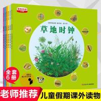 正版美的科普四季时钟系列6册小学少年版 树木时钟 3-6-10-12岁自然百科