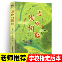 万物的钥匙肖定丽小学生语文 五六年级读一本好书6-12岁中学生可怕的数学数字破解老师推荐课外阅读书籍二十一世纪出版社