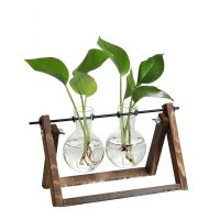 [创意木架水培花瓶]绿萝玻璃容器办公室内桌面绿植现代摆件装饰