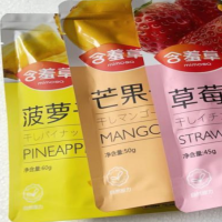 含羞草菠萝干60G