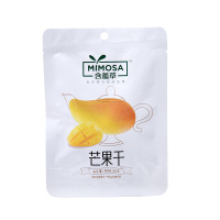 含羞草异域珍果芒果干50g