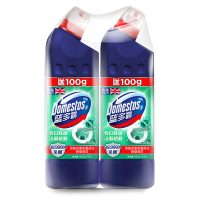 蓝多霸长效洁净洁厕啫喱香杉松木香 600G*2