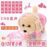 儿童玩具狗牵绳走路仿真小狗毛绒会唱歌跳舞电动泰迪走路小狗男孩