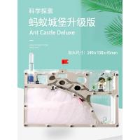 2021蚂蚁城堡M号 生态云蚁村上面蚂蚁宠物蚂蚁工坊部落懒人宠物