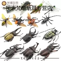 仿真昆虫仿真甲虫昆虫模型甲虫模型昆虫玩具甲虫玩具昆虫甲虫.