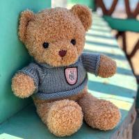 超萌毛衣泰迪熊穿衣小熊玩偶布娃娃可爱毛绒玩具儿童