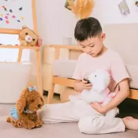 电动玩具狗遥控发声泰迪公仔创意智能儿童毛绒玩具