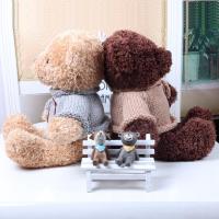 新款录音熊毛绒玩具复古毛衣情侣泰迪陪伴熊表白玩偶