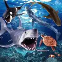 儿童玩具仿真海洋动物模型生物鲨鱼海豚企鹅乌龟螃蟹鳄实心塑胶玩具
