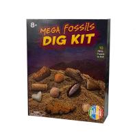 儿童考古挖掘玩具世界考古挖宝鲨鱼化石套装恐龙矿物宝石鲨鱼牙齿化石昆虫标本男孩子动手探索启蒙考古玩具
