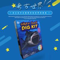 儿童考古玩具恐龙化石钻石昆虫标本儿童恐龙考古挖掘玩具宝石矿石探秘套装海洋标本挖宝吊坠儿童早教玩具