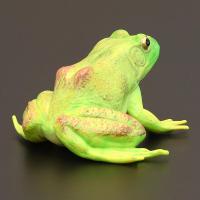 美洲牛蛙儿童野生动物模型实心大号儿童青蛙菜蛙仿真动物玩具男孩3-4-5-7岁生日