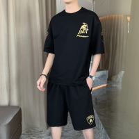 晗亦然2021新款休闲二件套装男夏季短袖T恤短裤两件套男款运动服潮牌6296