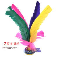 涡润+ZJ0161毽球GR763