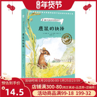 正版 鹿鼠的抉择 奇想国世界畅xiao小说系列 家庭bi备的动物小说 看见弱小者的抗争与成长 外国儿童文学 陕西人民出版