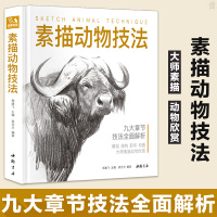 经典全集2019新书精装 素描动物技法 入门临摹教程零基础自学教材书 铅笔手绘画册美术指南精微结构解剖结构形体构图 素描