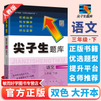 尖子生题库三年级下册语文部编人教版 小学生3三年级下语文教材同步训练练习册基础阅读理解训练题作业本教辅导学习全解工具资料