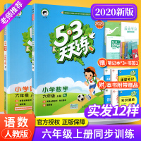 53天天练六年级上册语文数学同步训练练习册全套2本部编人教版 小学生6六年级上教材同步阅读口算思维训练5.3五三天天练作