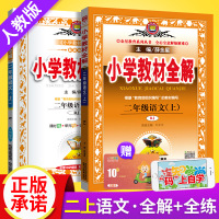 2020秋小学教材全解+全练二年级上册全套语文2本人教部编版 课堂同步训练练习册教材解读学习资料包教辅书 2年级七彩课堂