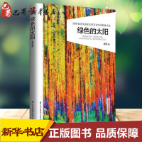 绿色的太阳 金波 著 著 绘画/漫画/连环画/卡通故事少儿 新华书店正版图书籍 江苏凤凰科学技术出版社